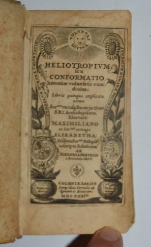 Heliotropium fig 1634 - –, –